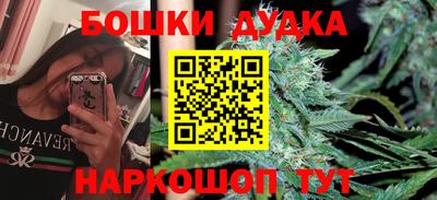 каннабис Новодвинск